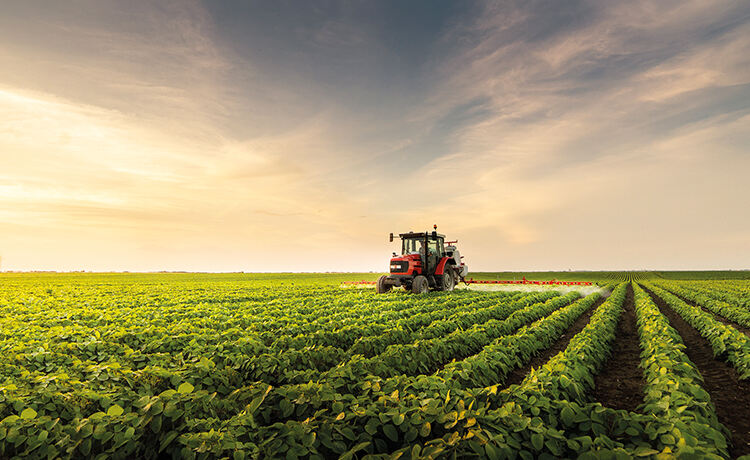 A produção de alimentos gera o equivalente a 31% de todos os gases de efeito estufa.